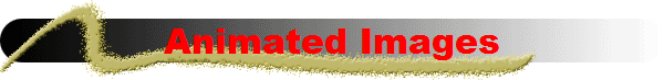 Animated Images